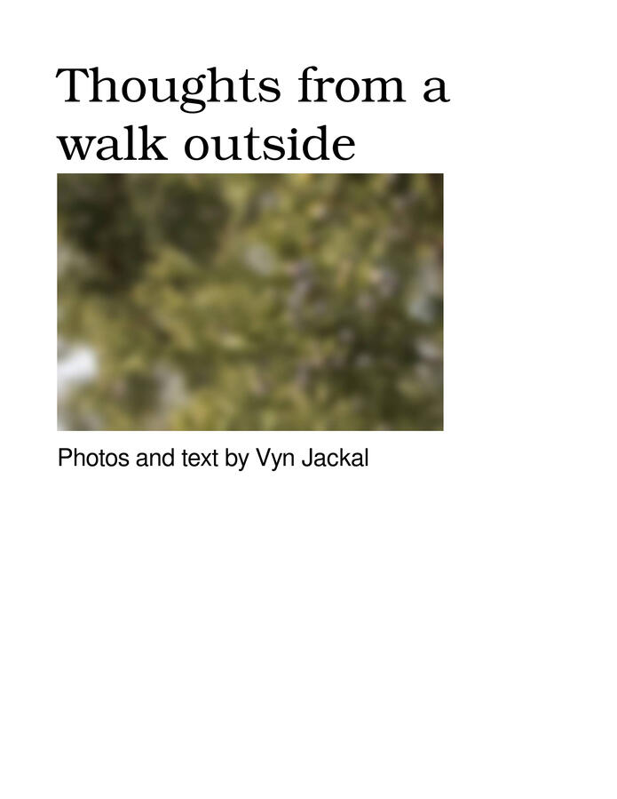 Thoughts from a walk outside