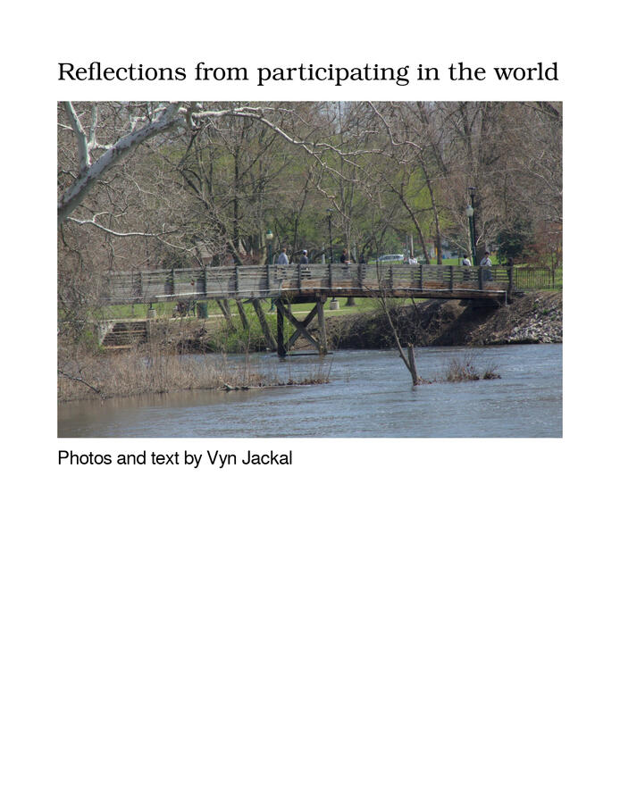 Reflections from participating in the world