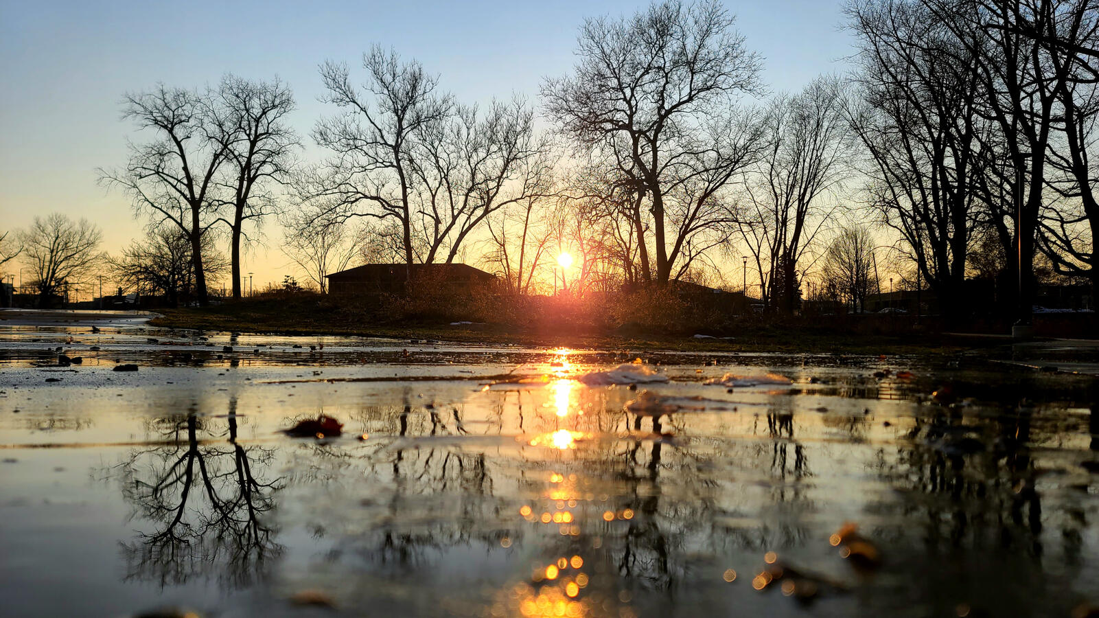 Getting low angle shots to see reflections within puddles is always a neat idea to explore.