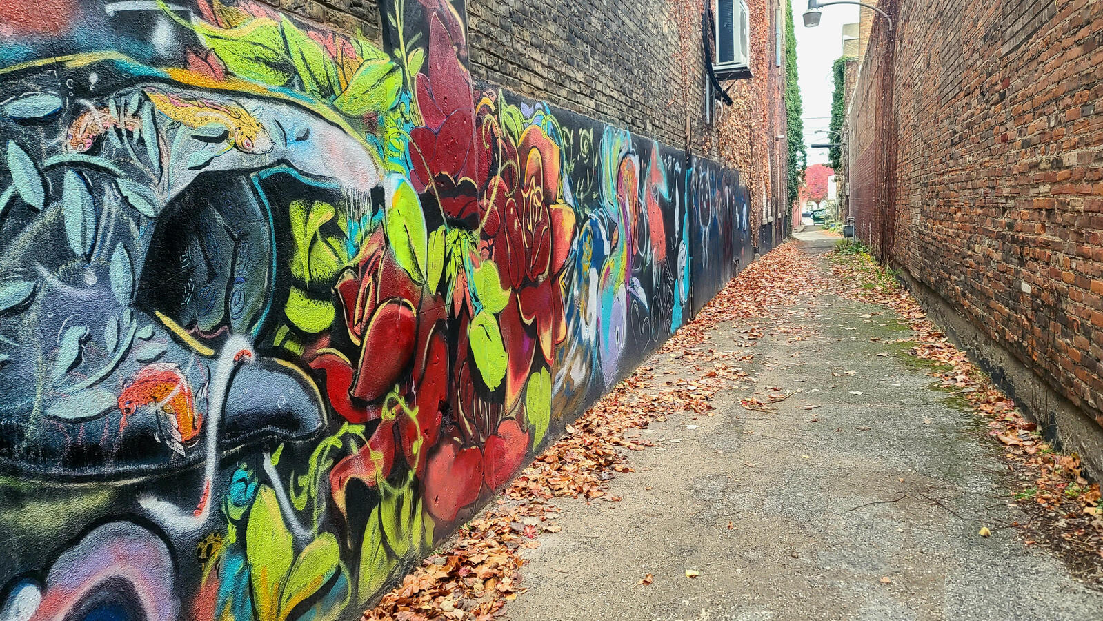 An alley gifted a new look by local artists.