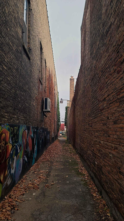 An alley gifted a new look by local artists.
