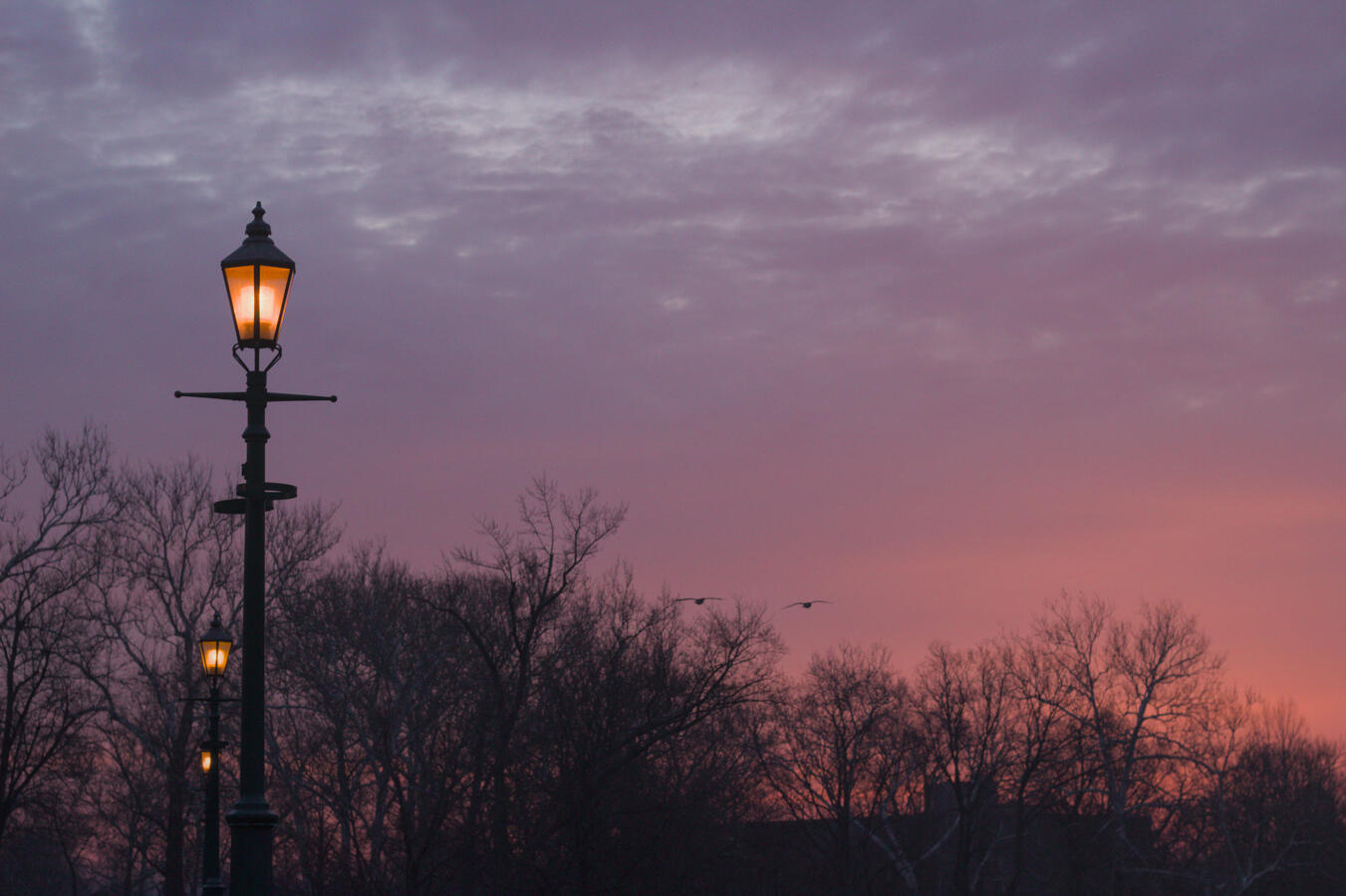 I wish I could fly like you guys