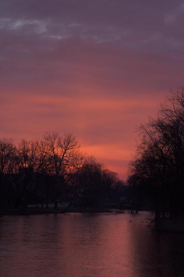 Copper sunset