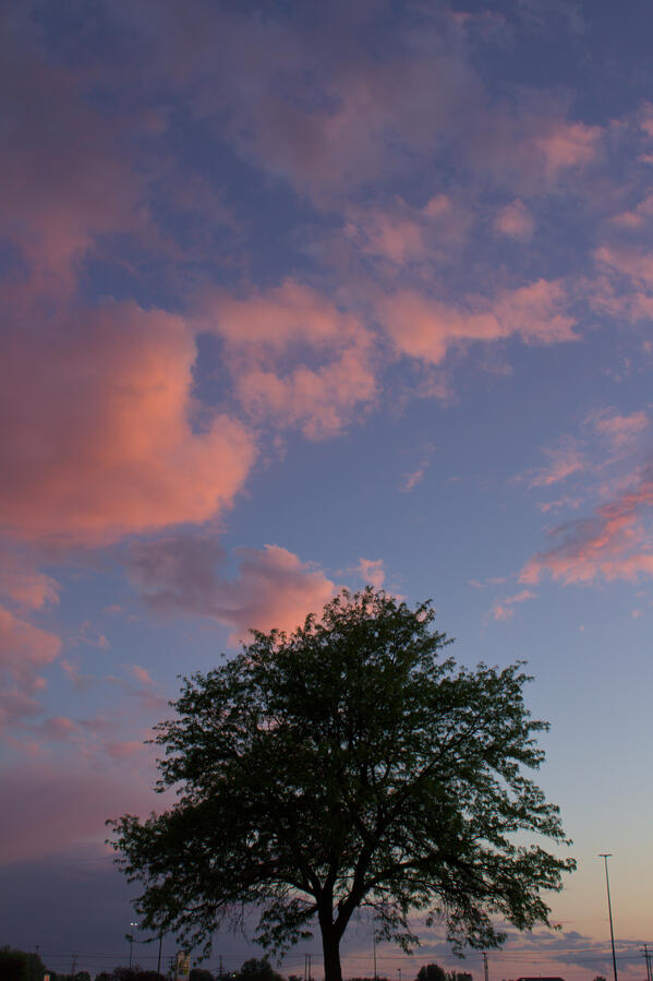 Another collected sunset. To the right the sky faded into a rain-cloud mist complemented by a rainbow, but I preferred to shoot the clearer side of the sky as it wasn't obstructed by retail.