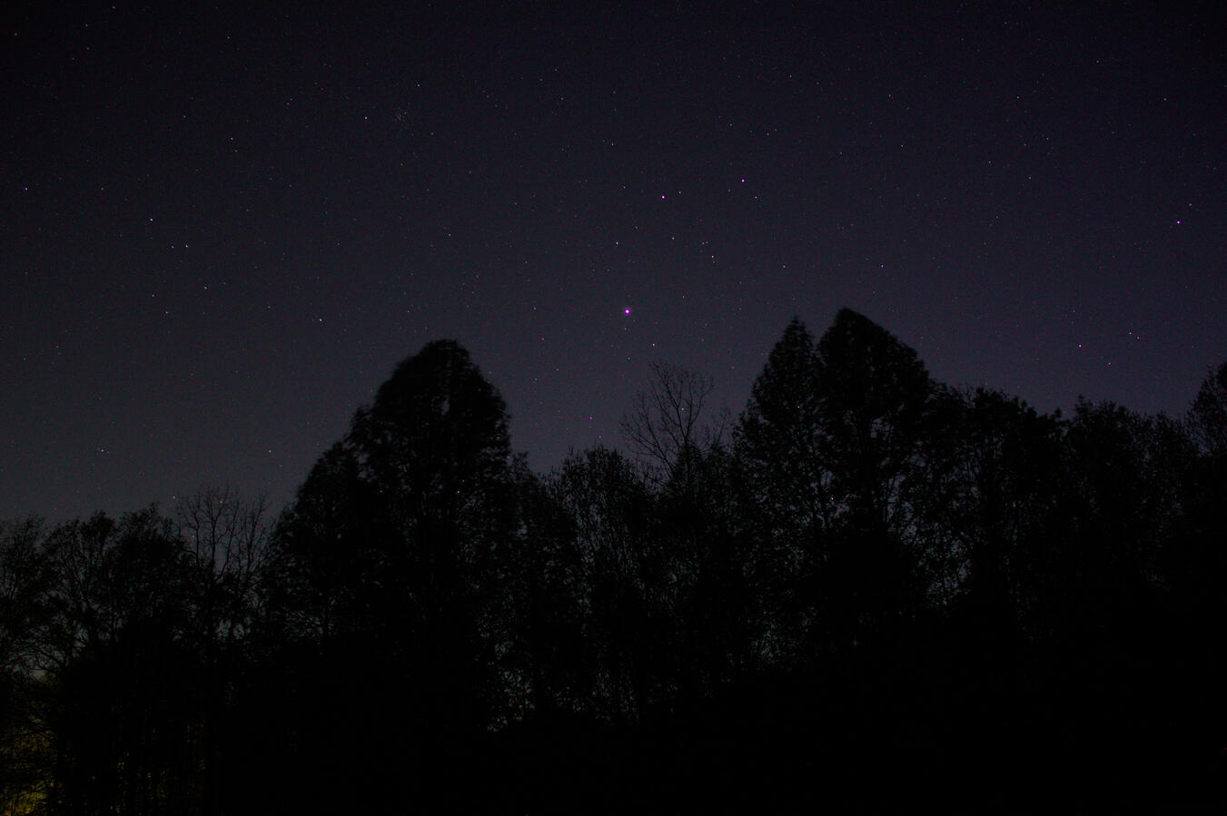 Dr. Lawless International Dark Sky Park visit 5/15/26. It's unfortunate how much beauty was hidden from me due to light pollution. I've never seen so many stars in the sky, and I'm very happy to have experienced this night with my partner.