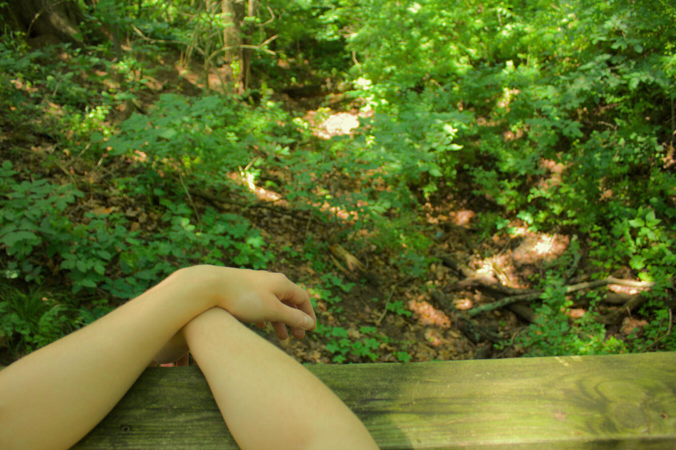 I shouldn't have to feel nervous taking a photograph of my love. The body and forest is natural; yet law states otherwise- discriminating by which sex can express its natural beauty.