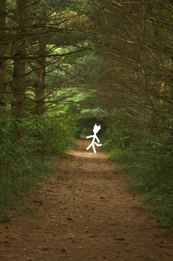 I had a very relaxing and wonderful time walking through a trail into Bonneyville park. My mind was very clear along with wonder filling my smile with every step.