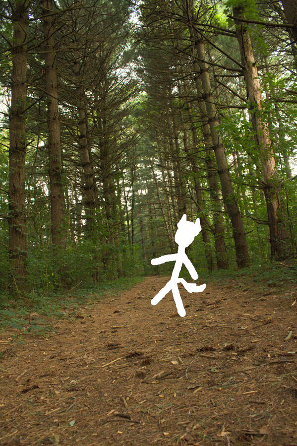 I had a very relaxing and wonderful time walking through a trail into Bonneyville park. My mind was very clear along with wonder filling my smile with every step.