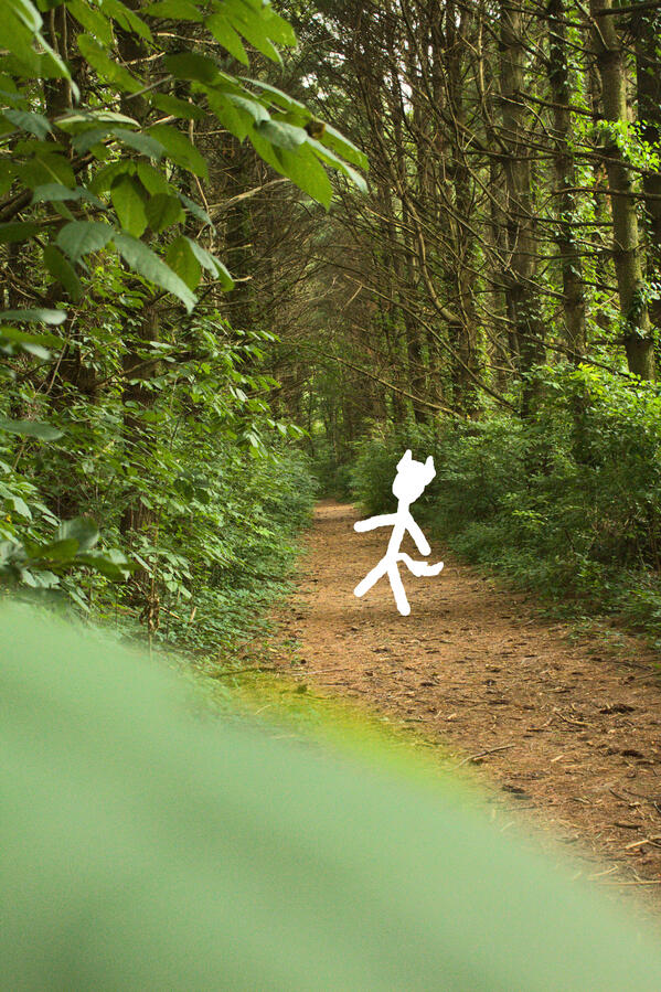 I had a very relaxing and wonderful time walking through a trail into Bonneyville park. My mind was very clear along with wonder filling my smile with every step.