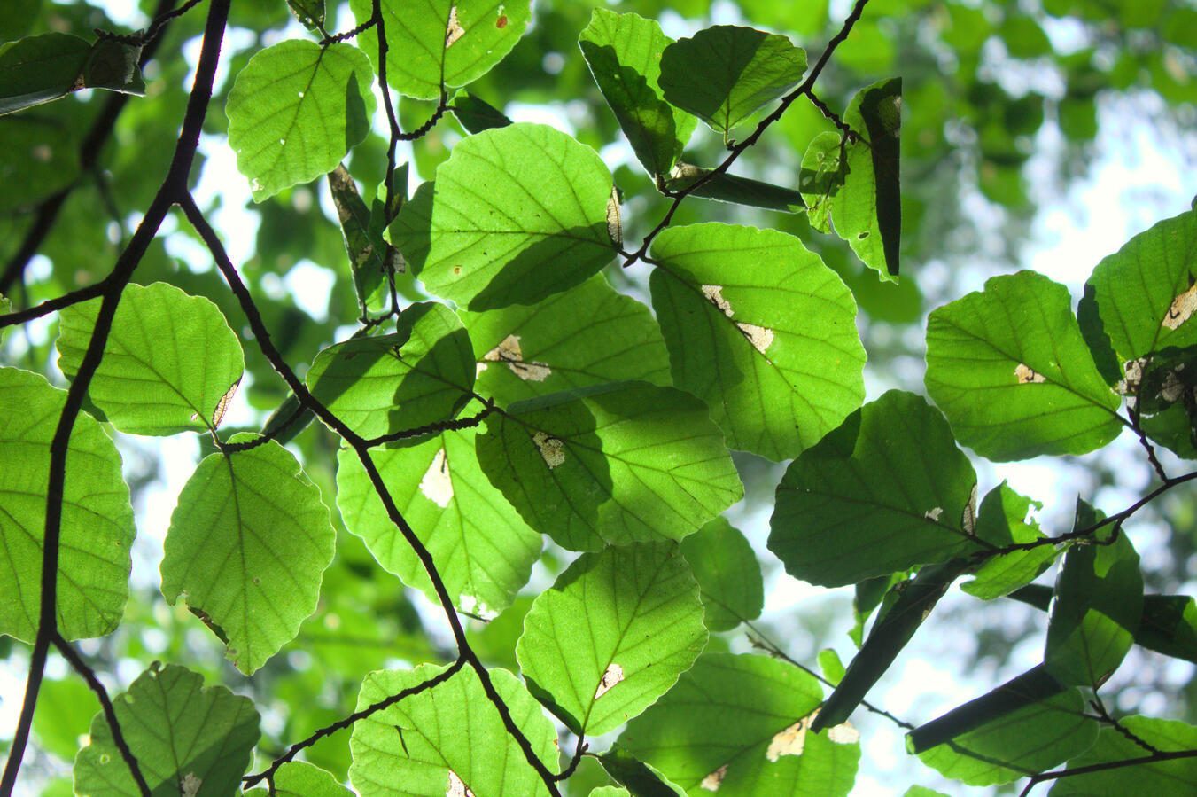 Indiana Dunes National Park visit