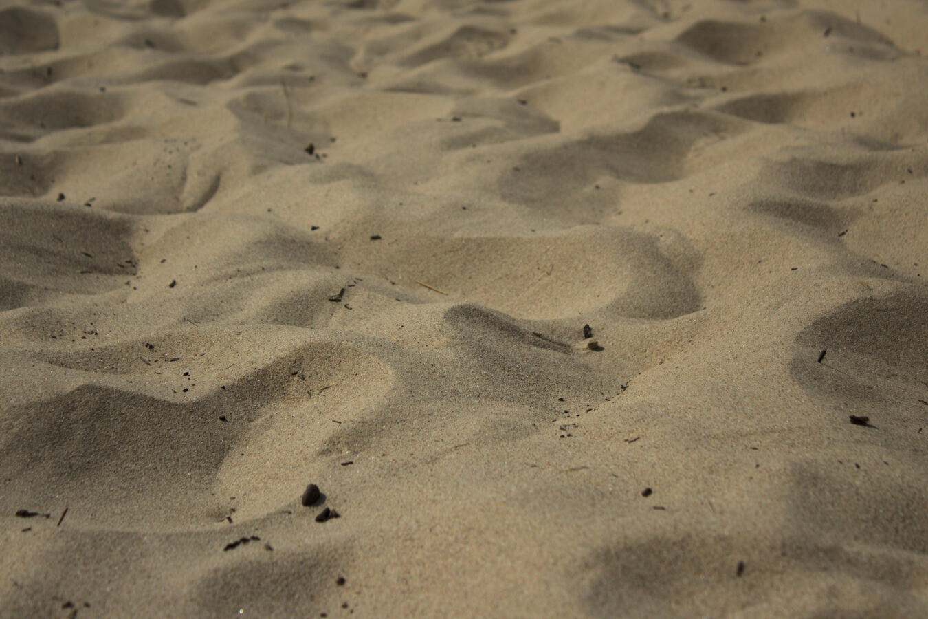Indiana Dunes National Park visit